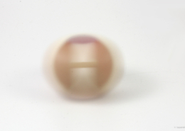 Naef_9912_Spin_action